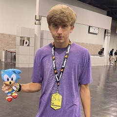 ᓭ༏   ˖  ࣪  . 🦔 tiktok audios!
