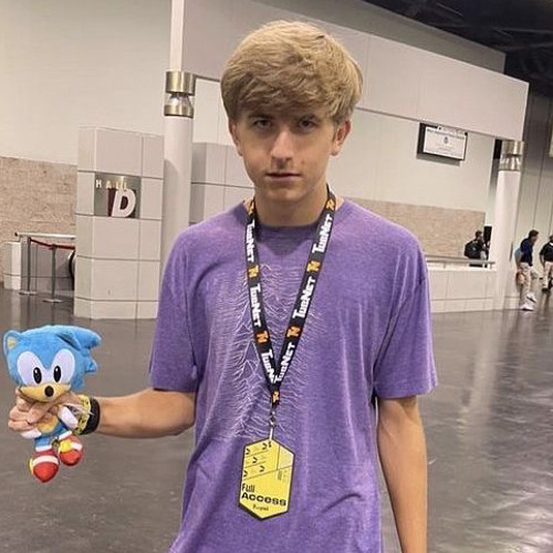 ᓭ༏   ˖  ࣪  . 🦔 tiktok audios!