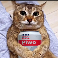 MenoUmano - ACE of Electronics ELECTROACE