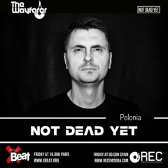 The Wayfarer Radioshow #96 - Guest Mix Not Dead Yet (Polonia)