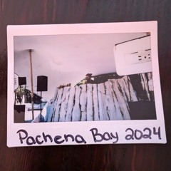 Live @ Pachena Bay Music Festival 2024