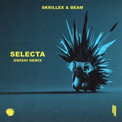 Skrillex & BEAM - Selecta (Owishi Remix)