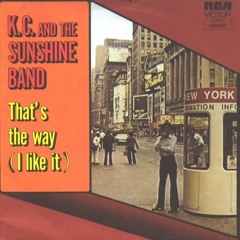 KC & The Sunshine Band - Thats The Way I Like It (Rodgers Remix)