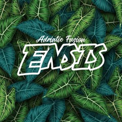 Adriatic Fusion - Ensis (Radio Edit).mp3