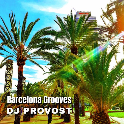 Stream Barcelona Grooves by DJ Provost | Listen online for free on ...