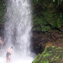 Review Special Price Sulphur Springs Mud Bath And Toraille Waterfall Tour With Creole Lunch