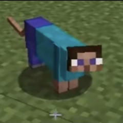 TRUANT - MINECRAFT THING