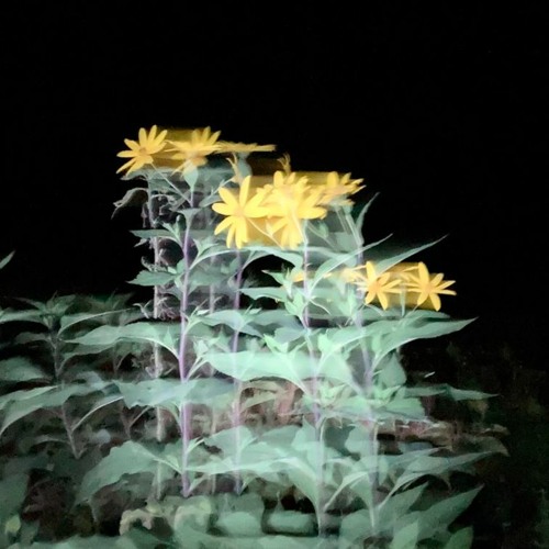 Haunami's Electribe MX Session 2