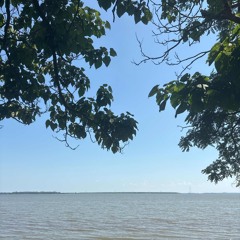 tookie & jxpan - flez (lukeballout exclusive)