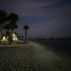 Midnight in Florida Interlude (Remix)