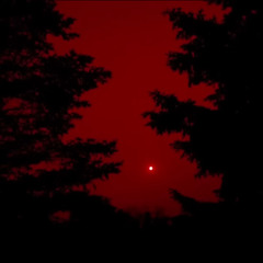 Travis Miller - OM2 (Official audio)