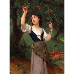 Cherries