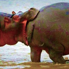 Analzinho Gostoso Bucetudo 720p