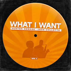 What I Want - Jack Colletta & Hunter Demase