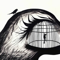 A cage, in search of a Bird