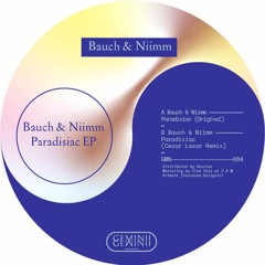 A. Bauch & Niimm - Paradisiac (Original)