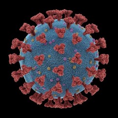 Brainøize - Virus