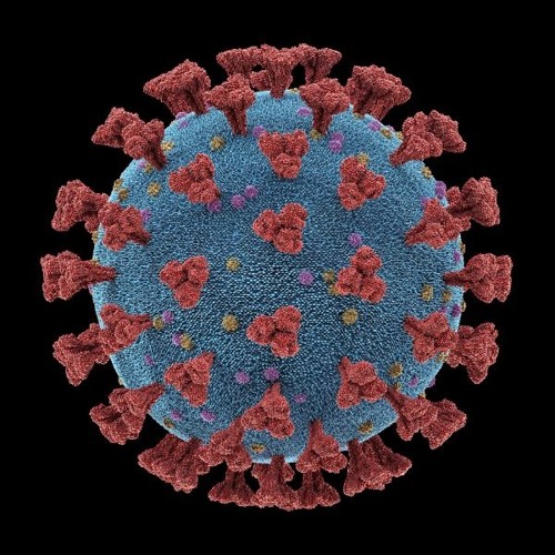 Brainøize - Virus