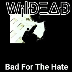 Bad For The Hate