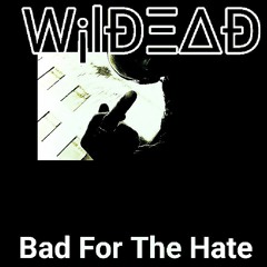 W¡lÐΞ∆Ð - Bad For The Hate