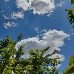 إِنَّمَا أَمْرُهُ إِذَا أَرَادَ شَيْئًا | آخر سورة يس | القارئ الشيخ أحمد بن طالب 🌼🌾