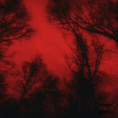 RED FREESTYLE (FXZO)