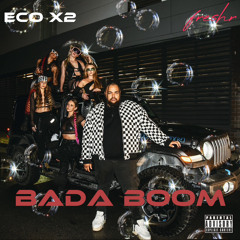 Badaboom-EcoX2, Freshr