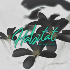 HABITAT 2025 Unknown Player b2b Alex Flores pt. 1