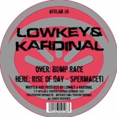 Lowkey & Kardinal -Rise Of Day - Afulab 06