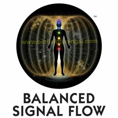 Biofield Beatz 4.4.4