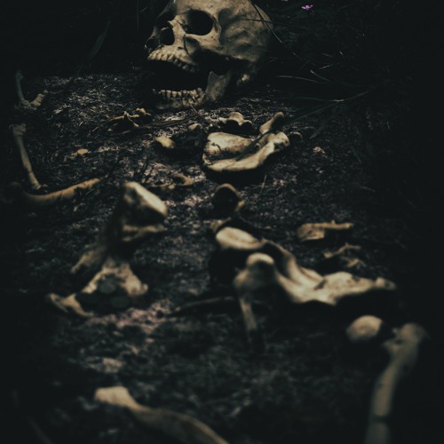 Body Farm