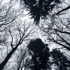 WHERE DID I GO WRONG (Feat. TJDUB)