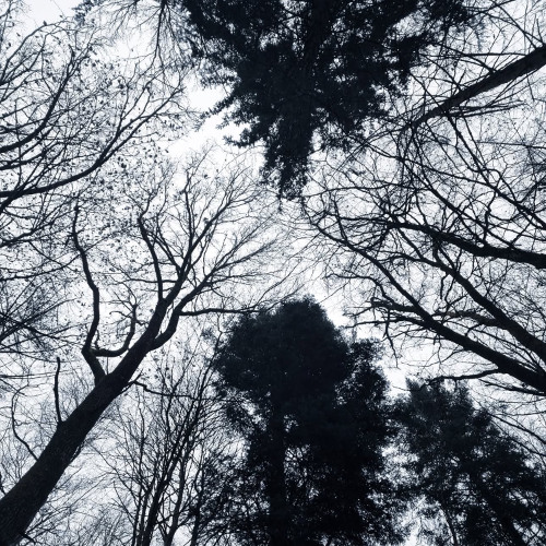 WHERE DID I GO WRONG (Feat. TJDUB)