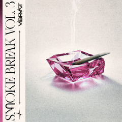 Megan thee stallion -HISS (Vibrvnt Flip)