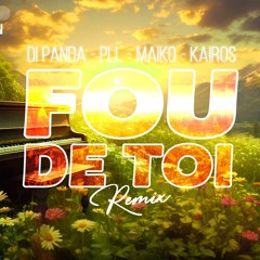 DJ MIKL - Fou De Toi Remix (Di Panda - PLL - Maiko - Kairos)