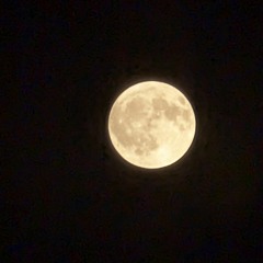Nuit du 4 juillet