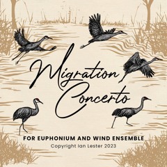 Migration Concerto for Euphonium and Wind Ensemble, II. Sistere (still)