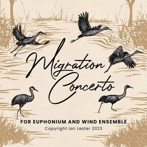 Migration Concerto for Euphonium and Wind Ensemble, II. Sistere (still)
