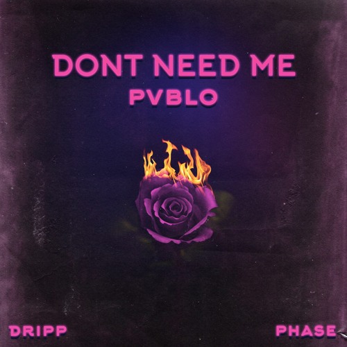 Dont Need Me Ft. Phase & DRIPP