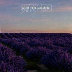 dim the lights