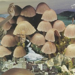 MUSHROOM MUSIC W/ FRANCESCA GAVIN & DANIEL BREUER 110320
