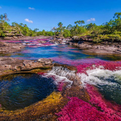 River X Dufflebag Dave