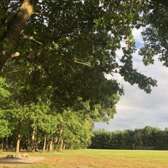 Can’t Go On Without You (Prod. cXv)