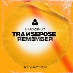 Transepose Remember (Podcast Mix Revisited A Want 01)// Marc Denuit Nov 2022