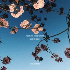 Sam Tompkins - You're The Love Of My Life (LICOPPE Remix)