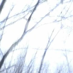 rlly.sg ($g) - xxxtra (vrynoah) [slump audios exclusive]
