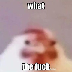 WHAT THE FUCK (ZAAGEDIT) *FREE DOWNLOAD*