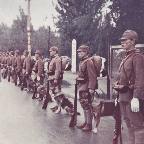Stream 陸軍分列行進曲 (Army Defile March) by KNB8 | Listen