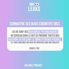 Dry Leaks - Connaitre ses biais cognitifs (2/28)