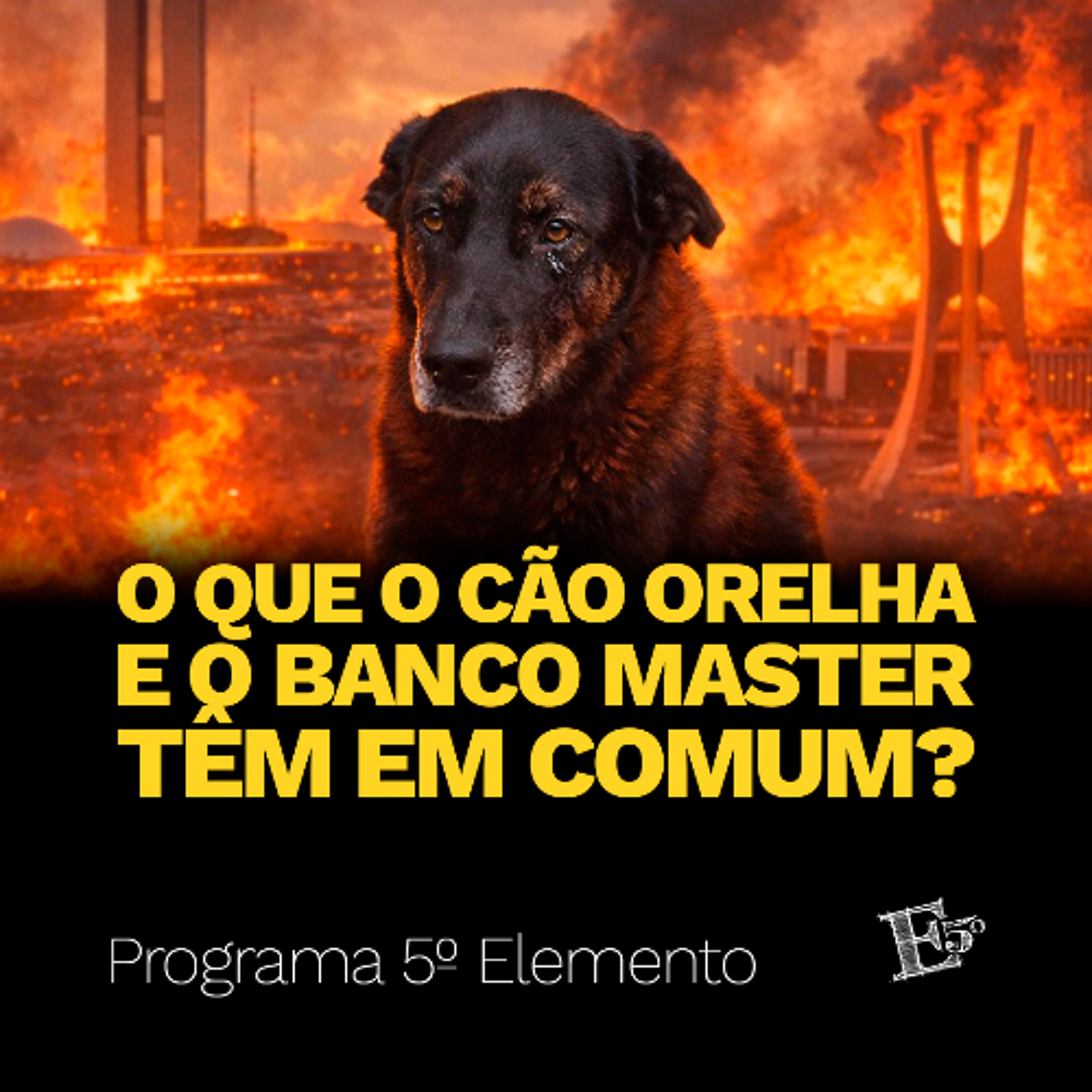 O Que o Cão Orelha e o Banco Master TÊM EM COMUM? | PROGRAMA 5º ELEMENTO episode artwork